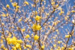 mt.tsukuba at 10:04 Dec,31 2025