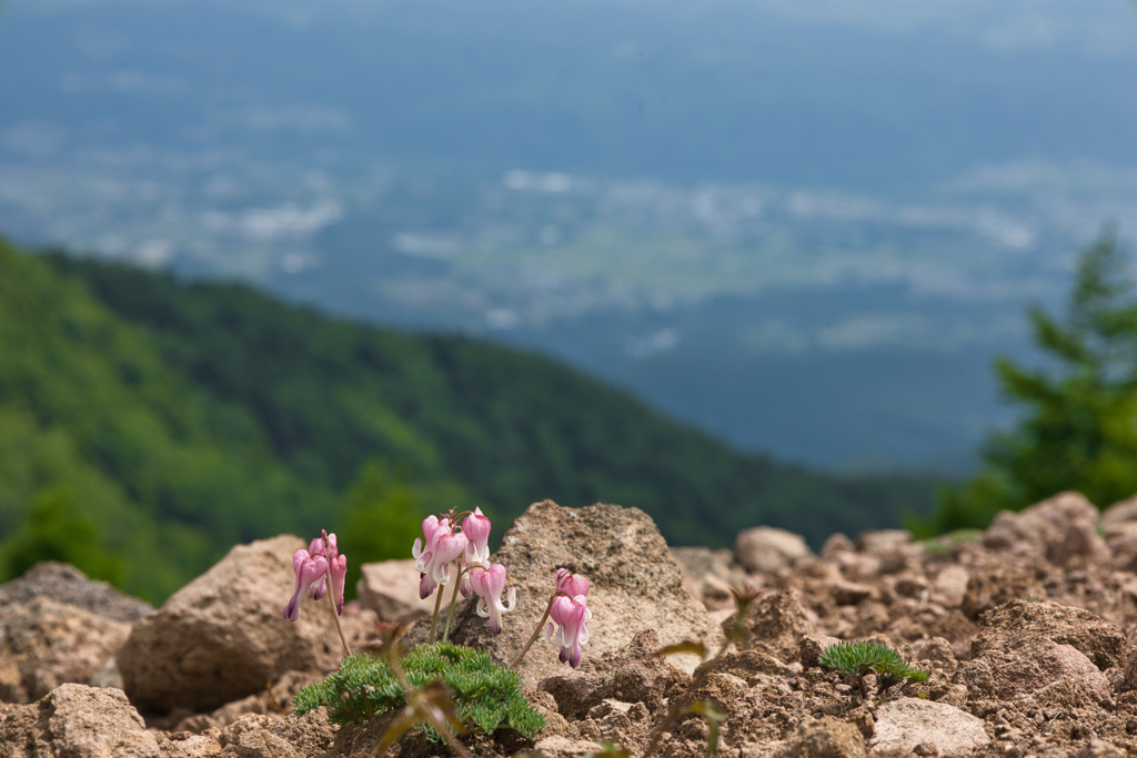 mt.yunomaruyama&eboshidake