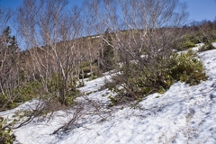 mt.nekodake at May,3 2025 09