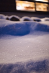 八ヶ岳ロープウェイ〜五辻〜白駒池〜茶臼山〜縞枯山〜八ヶ岳ロープウェイ