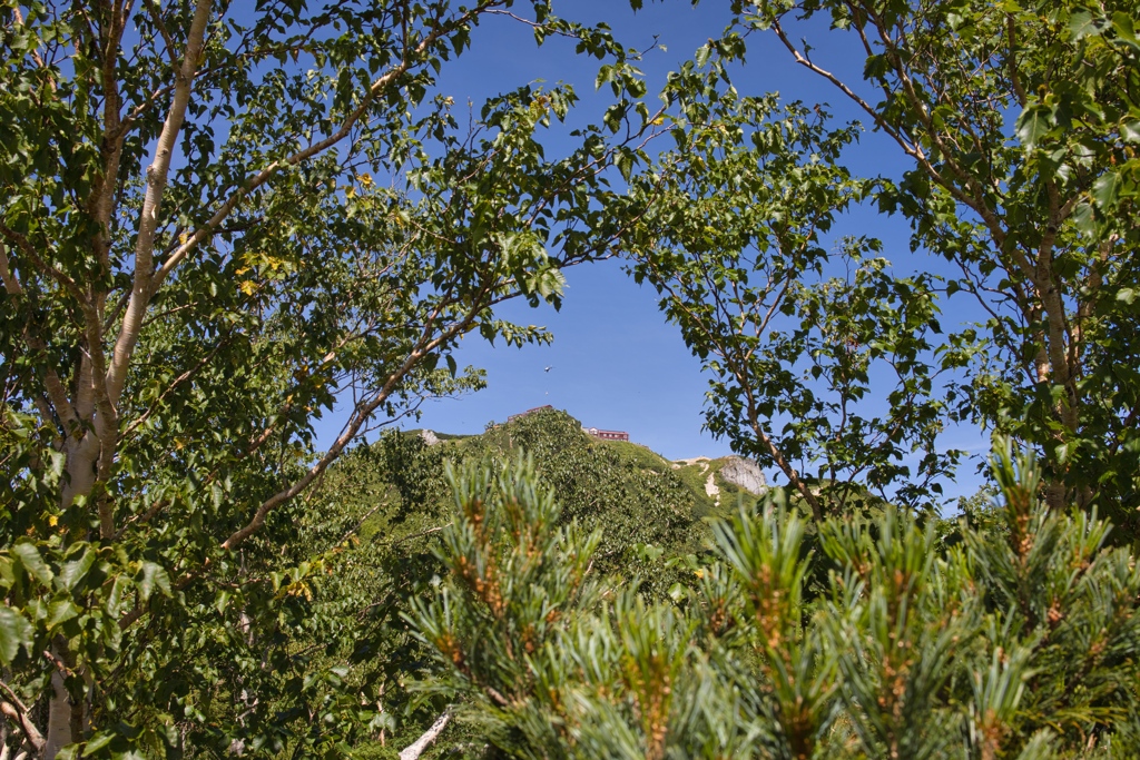 mt.tsubakuro13