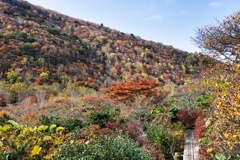 mt.nasu at 9:25 Oct,12 2025