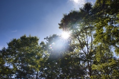 The Mountain Day in 2024(Mt.Daibosatsu)m