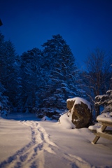 八ヶ岳ロープウェイ〜五辻〜白駒池〜茶臼山〜縞枯山〜八ヶ岳ロープウェイ