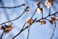 mt.tsukuba at 9:54 Dec,31 2025