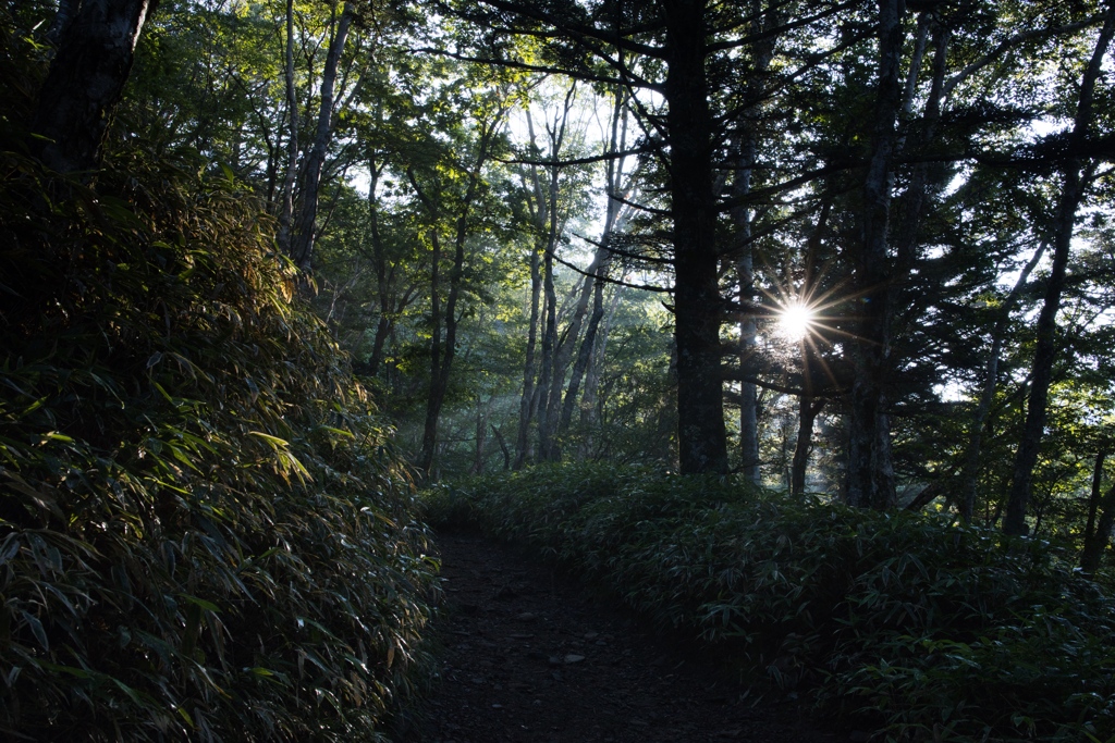 The Mountain Day in 2024(Mt.Daibosatsu)m