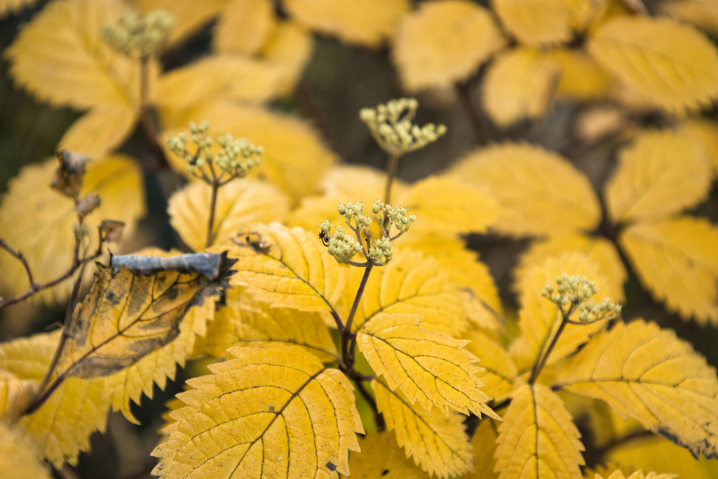 mt.tsukuba on Nov,8 2025 03