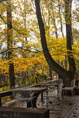 yatsugadakekurabu 14