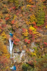 名前忘れました。