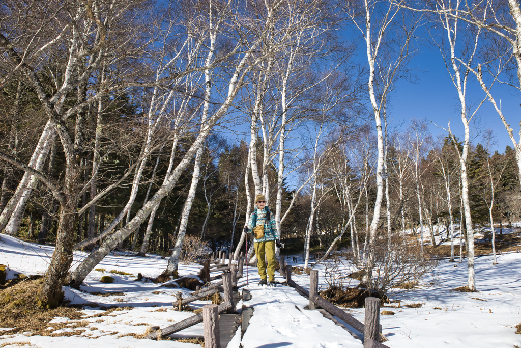Mt.Nyukasayama on Dec,19 2025 29