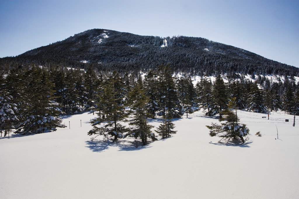 kitayoko Mar,15 2024 03