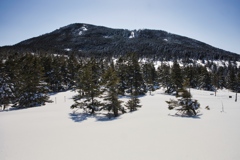 kitayoko Mar,15 2024 03