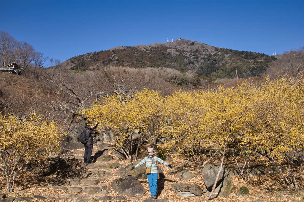 mt.tsukuba20 Jan,11 2024