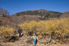mt.tsukuba20 Jan,11 2024