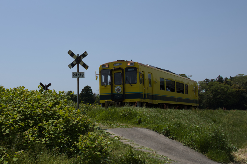 isumi railway