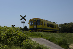 isumi railway