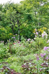 yuhodou09