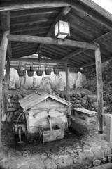 naraijyuku at 15:21 Oct,13 2024