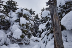 北八ツ山頂駅〜白駒荘〜高見石〜丸山〜北八ツ山頂駅