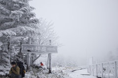 八ヶ岳ロープウェイ〜五辻〜白駒池〜茶臼山〜縞枯山〜八ヶ岳ロープウェイ