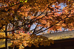 yatsugadakekurabu 04