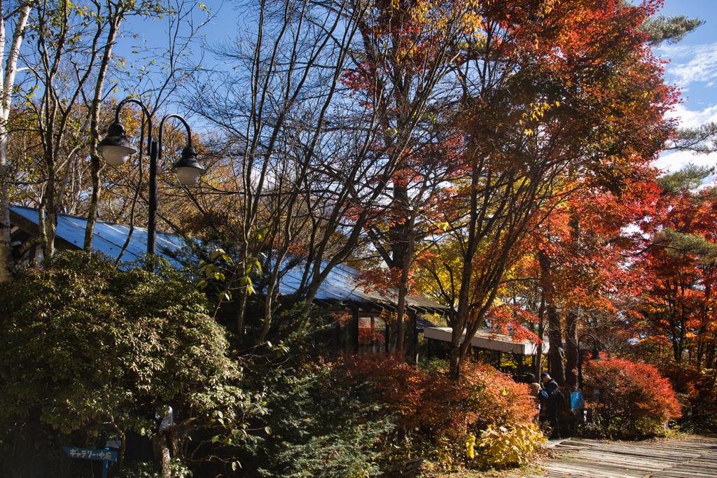 yatsugadakekurabu 01