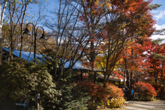 yatsugadakekurabu 01