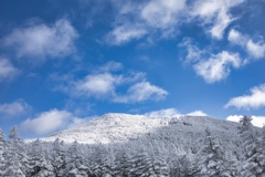 八ヶ岳ロープウェイ〜五辻〜白駒池〜茶臼山〜縞枯山〜八ヶ岳ロープウェイ