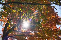 mt.tsukuba at 12:36 Nov,9 2024