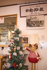 八ヶ岳ロープウェイ〜五辻〜白駒池〜茶臼山〜縞枯山〜八ヶ岳ロープウェイ