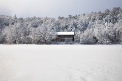 八ヶ岳ロープウェイ〜五辻〜白駒池〜茶臼山〜縞枯山〜八ヶ岳ロープウェイ