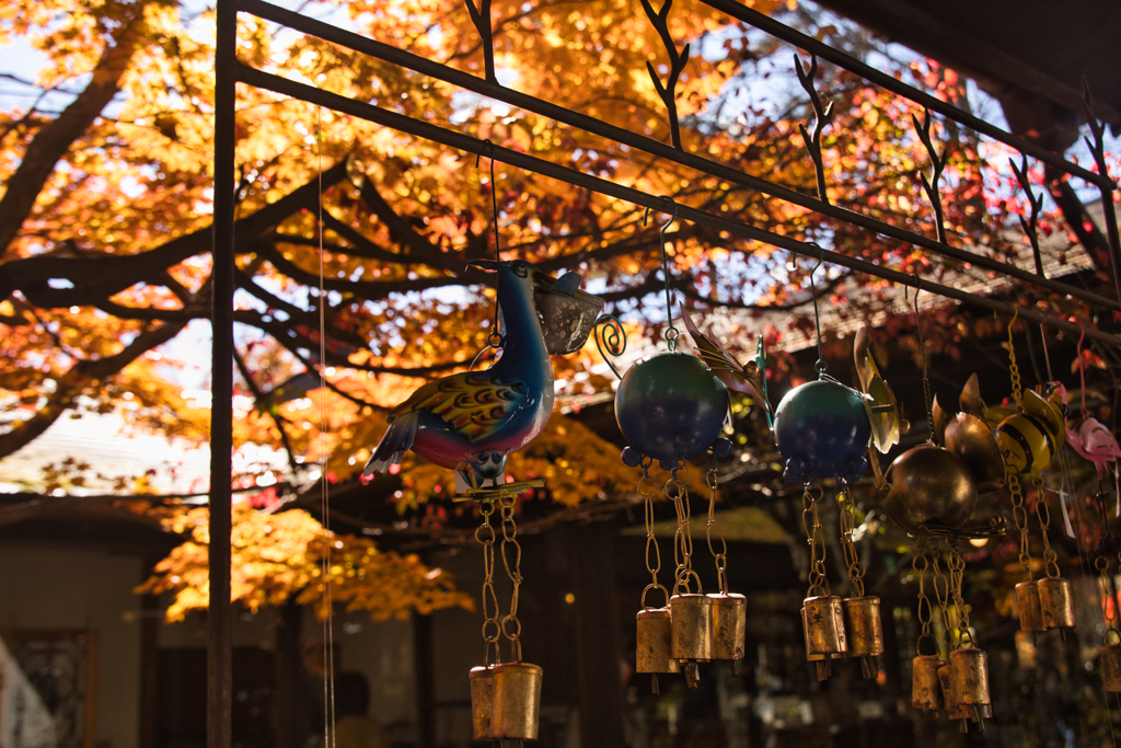 yatsugadakekurabu 06