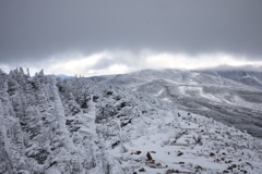 八ヶ岳ロープウェイ〜五辻〜白駒池〜茶臼山〜縞枯山〜八ヶ岳ロープウェイ