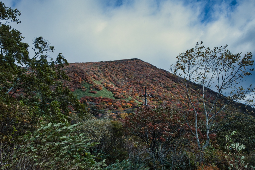 mt.cyausu01