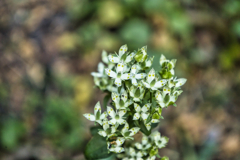 mt.tsukuba on Nov,8 2025 05