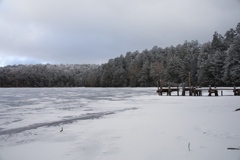 凍りついた白駒池
