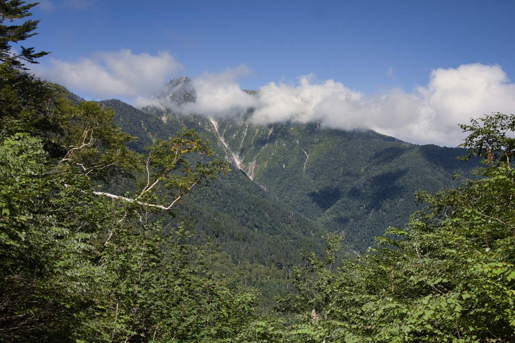 蝶ヶ岳