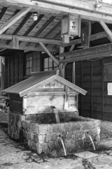 naraijyuku at 14:48 Oct,13 2024