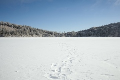 八ヶ岳ロープウェイ〜五辻〜白駒池〜茶臼山〜縞枯山〜八ヶ岳ロープウェイ