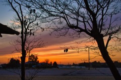 IMG_1833