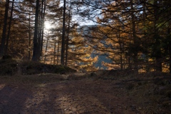 美濃都から赤岳鉱泉へ