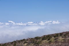 mt.nekodake at May,3 2025 02