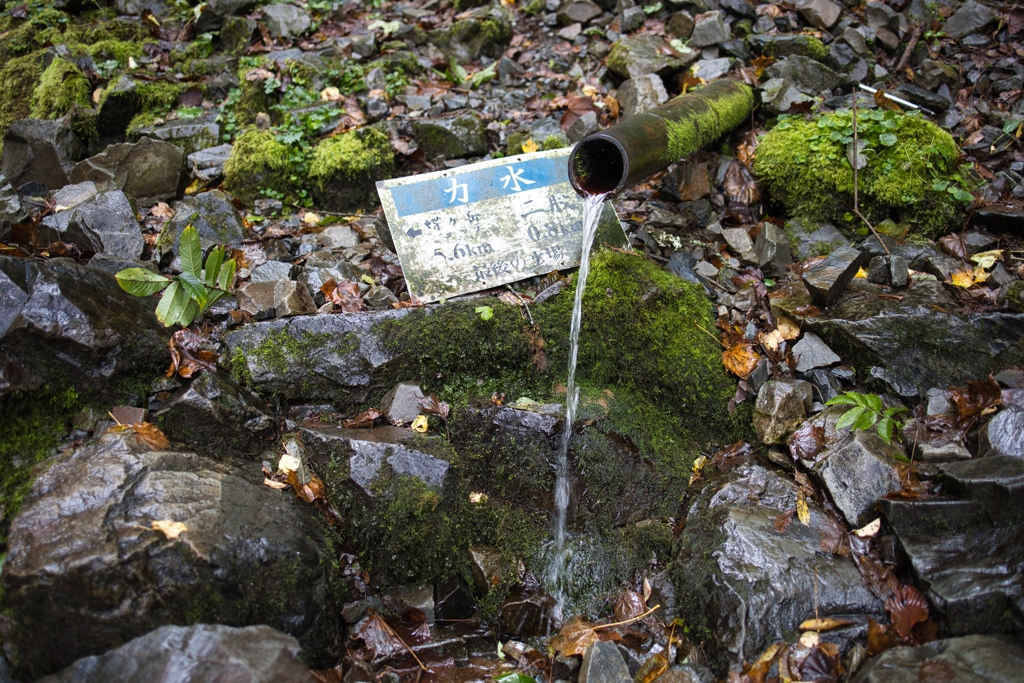 蝶ヶ岳