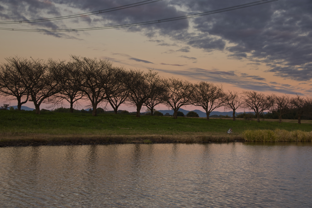 mt.tsukuba at 16:39 Nov,9 2024