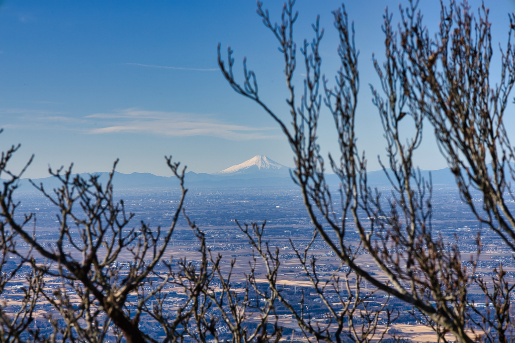 mt.tsukuba03 Jan,11 2024