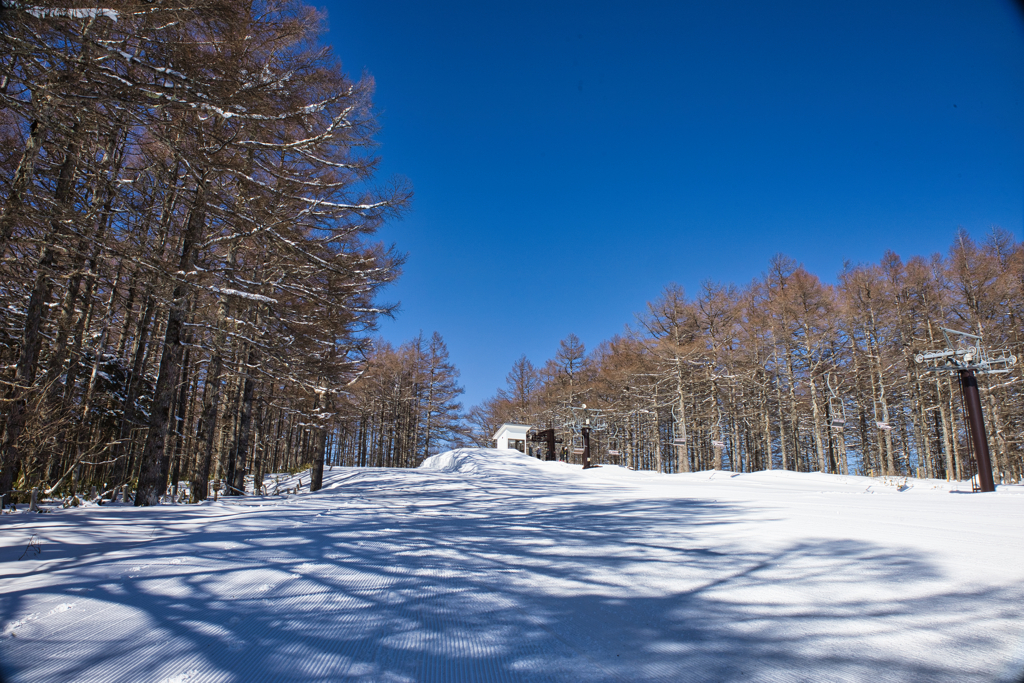 mt.yunomaruyama at 12:24 Ja,16 2026
