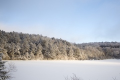 八ヶ岳ロープウェイ〜五辻〜白駒池〜茶臼山〜縞枯山〜八ヶ岳ロープウェイ