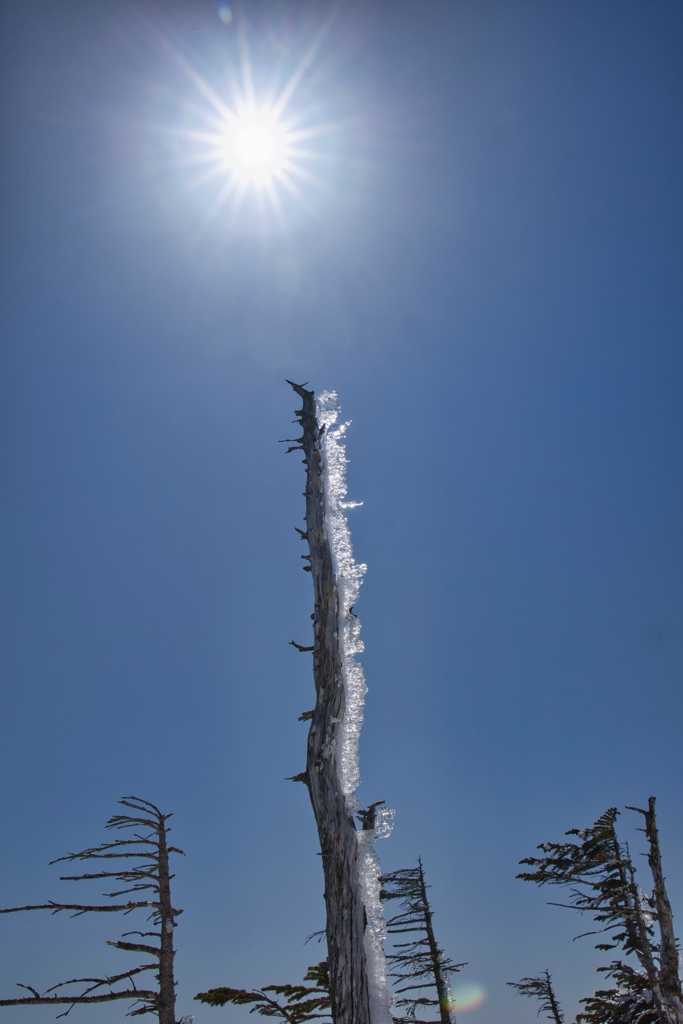 kitayoko Mar,15 2024 19