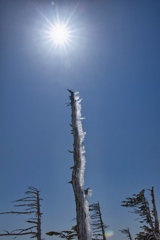 kitayoko Mar,15 2024 19