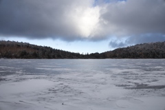 凍りついた白駒池